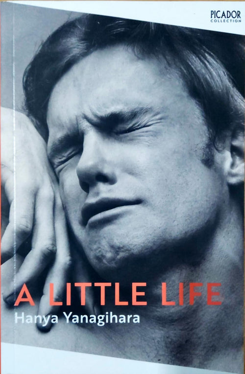 A Little Life
