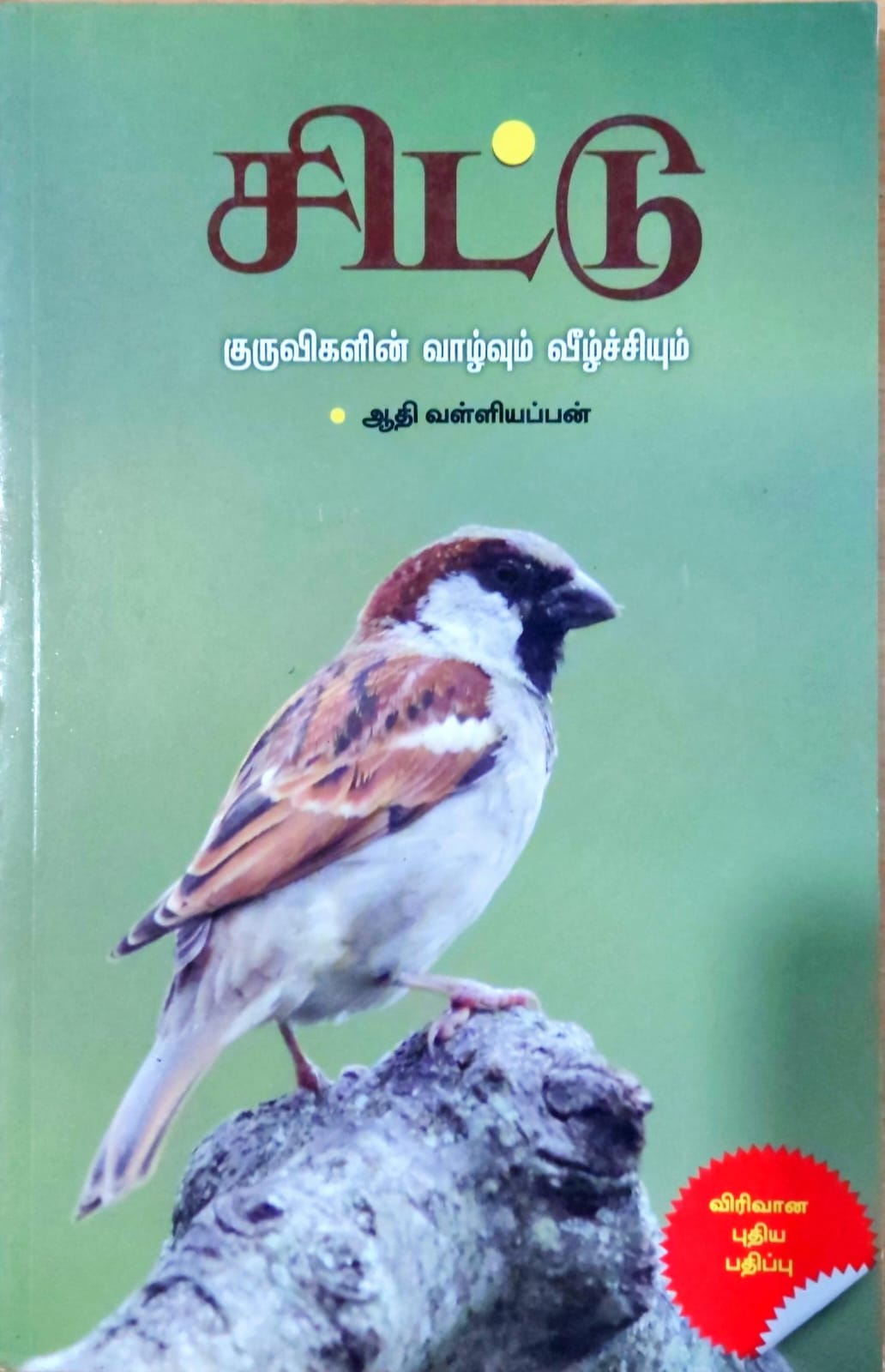 சிட்டு