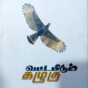 வட்டமிடும் கழுகு